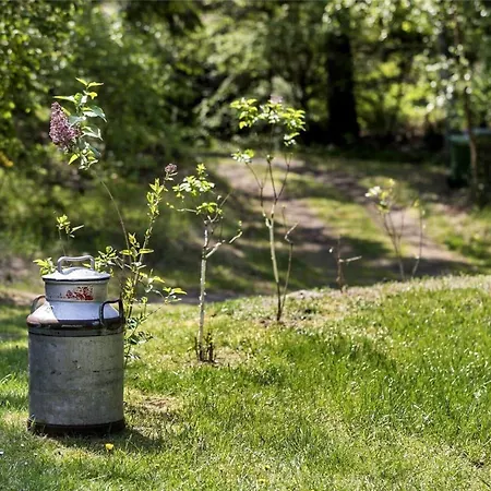 Dom wakacyjny 1555-aakirkeby-aedjavejen-14